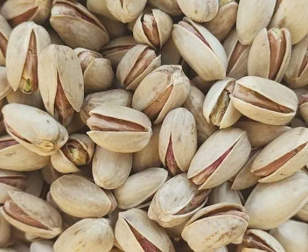 راهنمای خرید پسته اکبری خندان + قیمت عالی