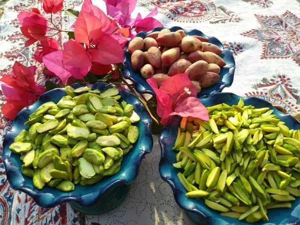 خرید مغز پسته درجه یک + بهترین قیمت