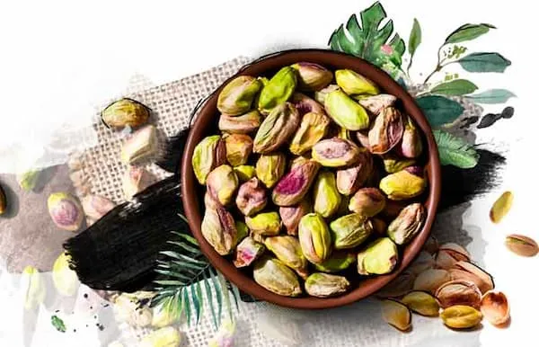 معرفی مغز پسته تازه + بهترین قیمت خرید