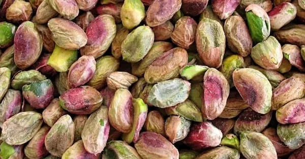 معرفی مغز پسته تازه + بهترین قیمت خرید