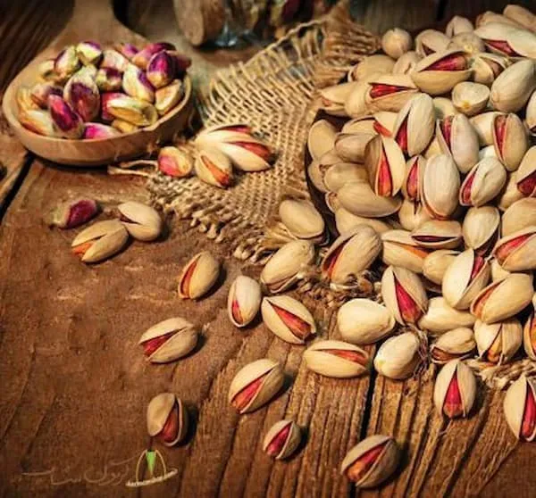 پسته احمد آقایی درجه یک + بهترین قیمت خرید