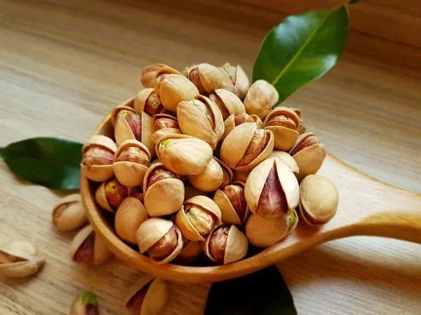 خرید پسته کله قوچی درشت + بهترین قیمت